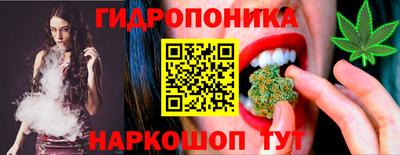 Альфа ПВП Малгобек