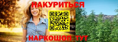 Альфа ПВП Малгобек