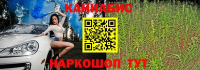 Альфа ПВП Малгобек