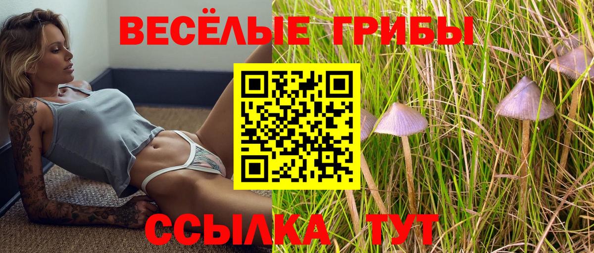 Галлюциногенные грибы Cubensis Ступино