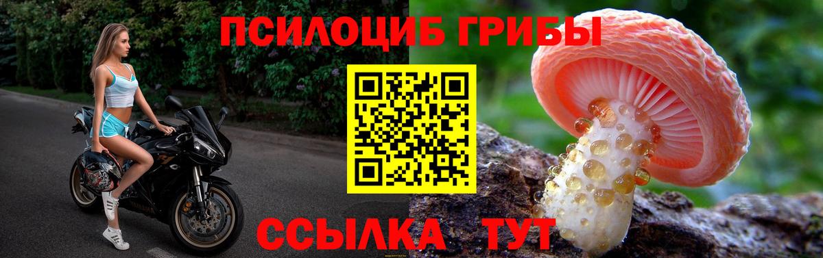 Галлюциногенные грибы MAGIC MUSHROOMS  Вход с VPN  Ступино 